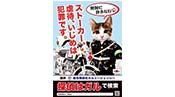 ストーカー許さないなめ猫