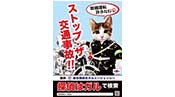 飲酒運転許さないなめ猫